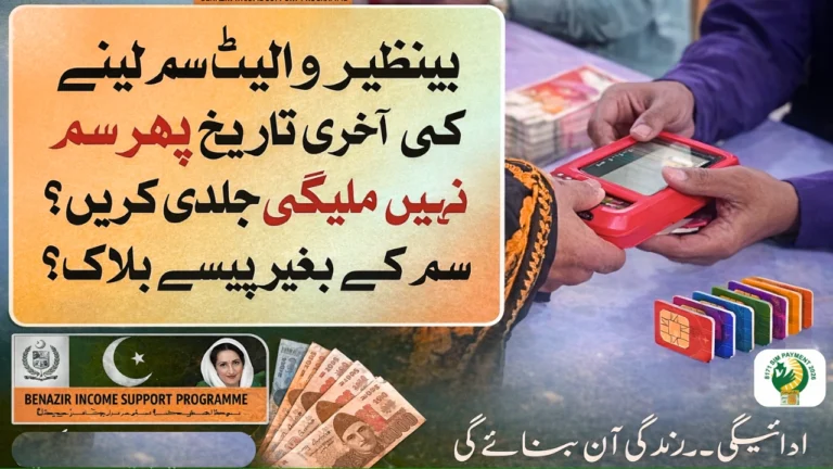 BISP Social Protection Wallet 2025 – Eligibility, Activation & Payment Status Guide